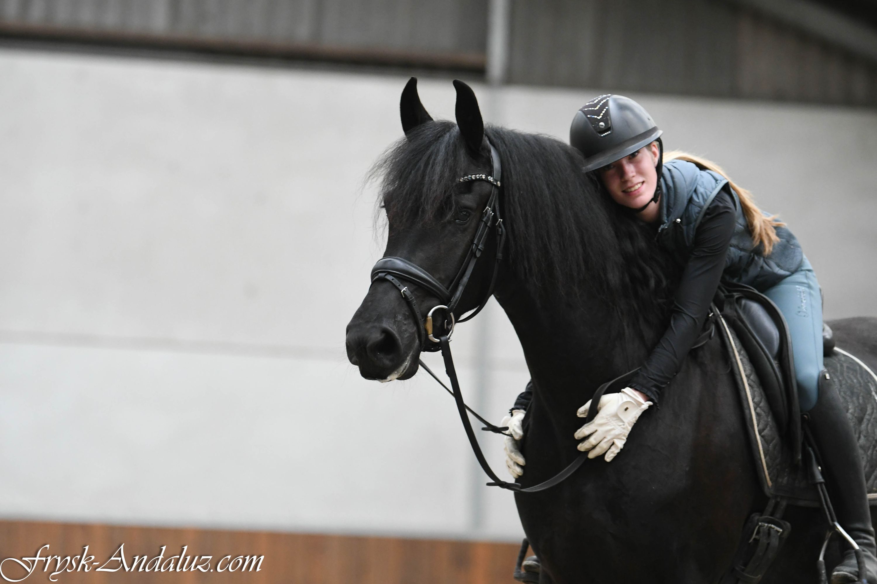 Underbar frisisk sto