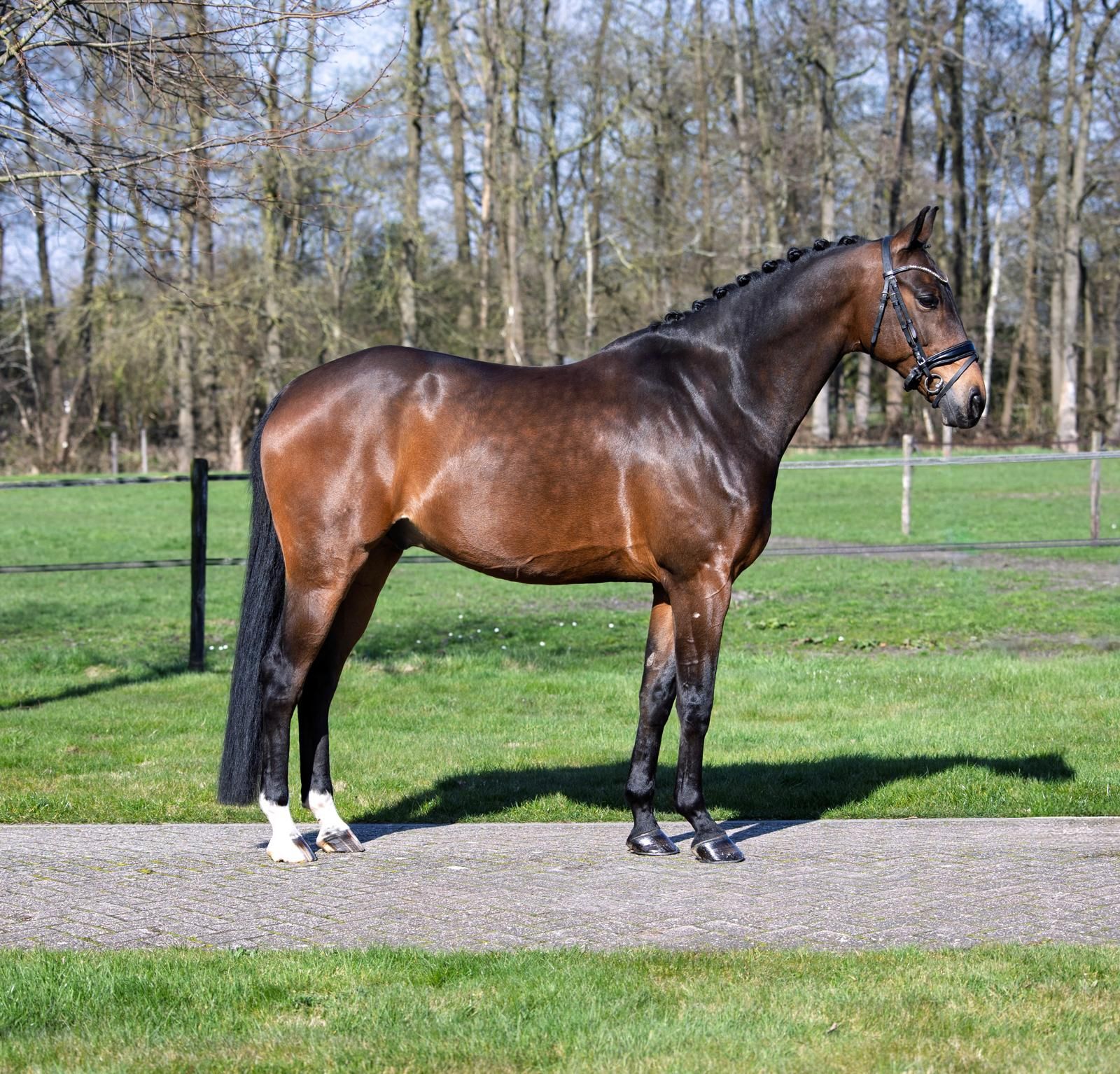 Te koop: vriendelijke PSG-ruin – Contango x Rousseau