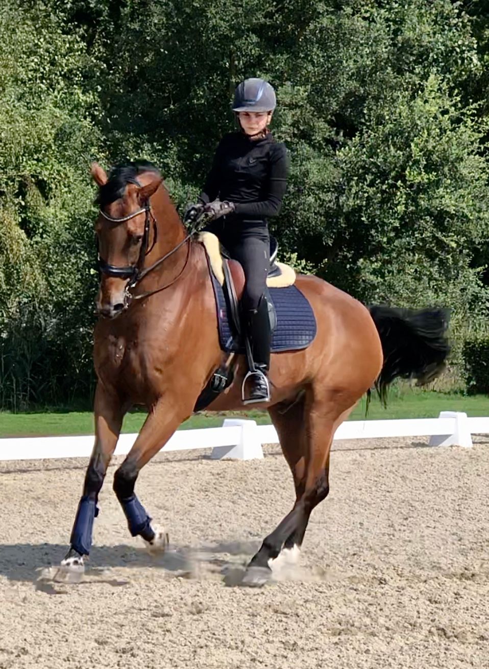 Cal internațional pentru tări călăreți (Young Riders)