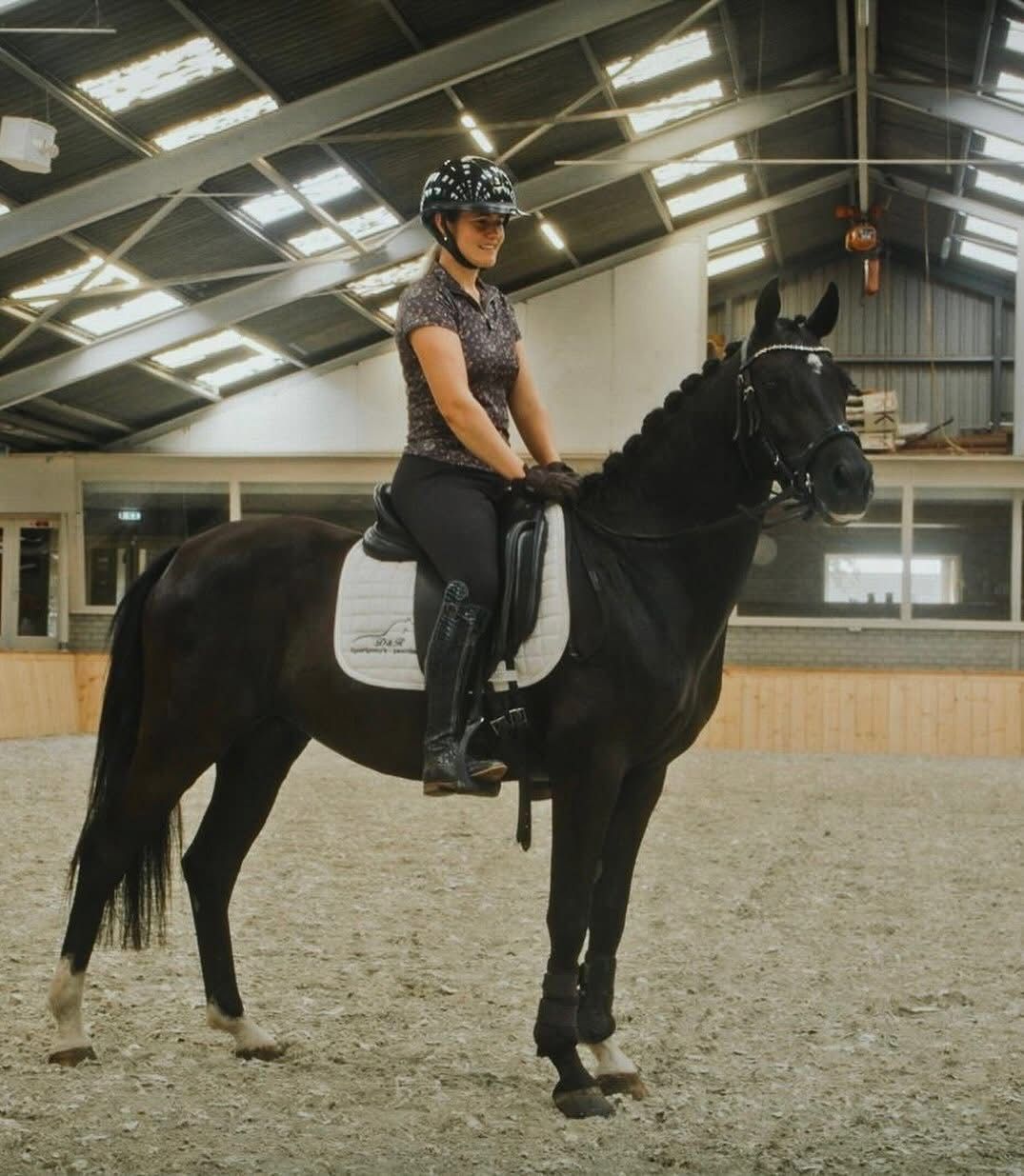 nrps dressuurpony ruin 6 ani zwart de vânzare - Foto 2