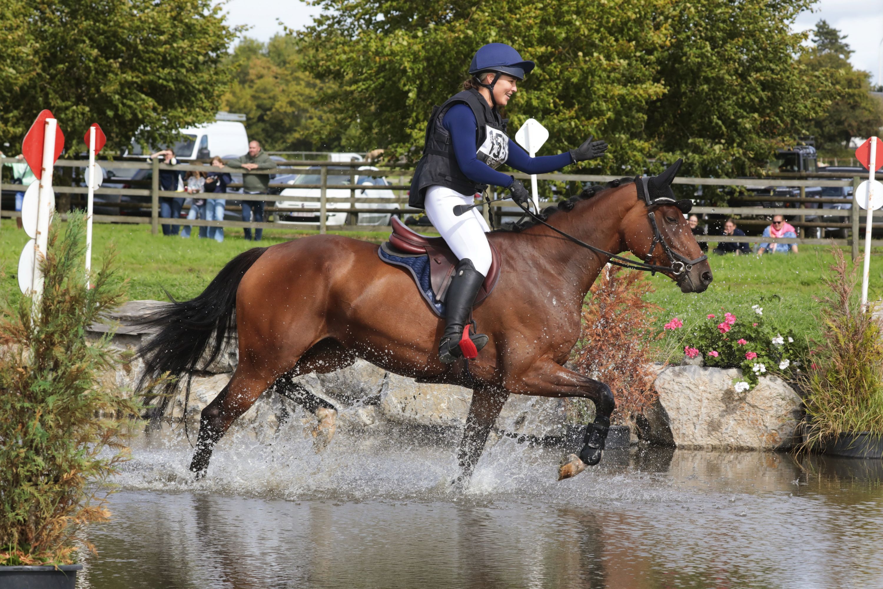 Smart, versatile, young sport mare
