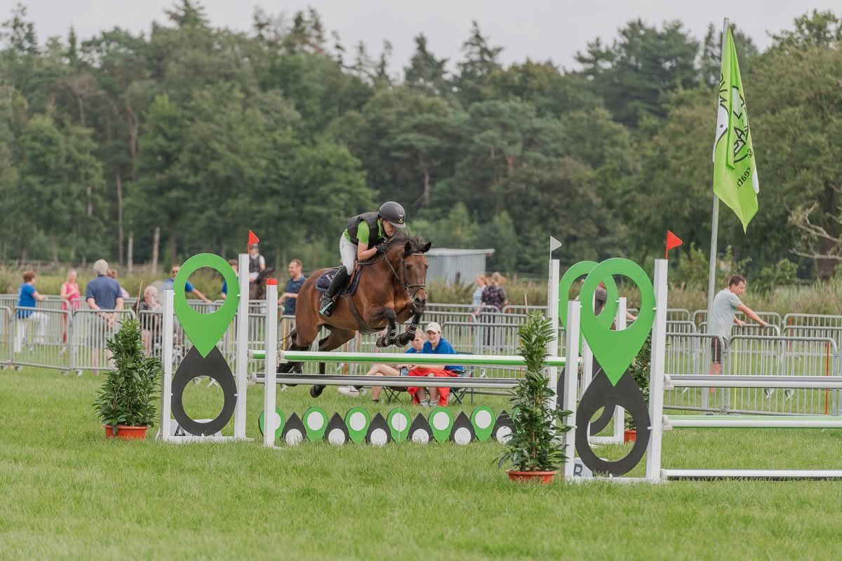 5-sterrenhuisje voor onze gouden D-pony