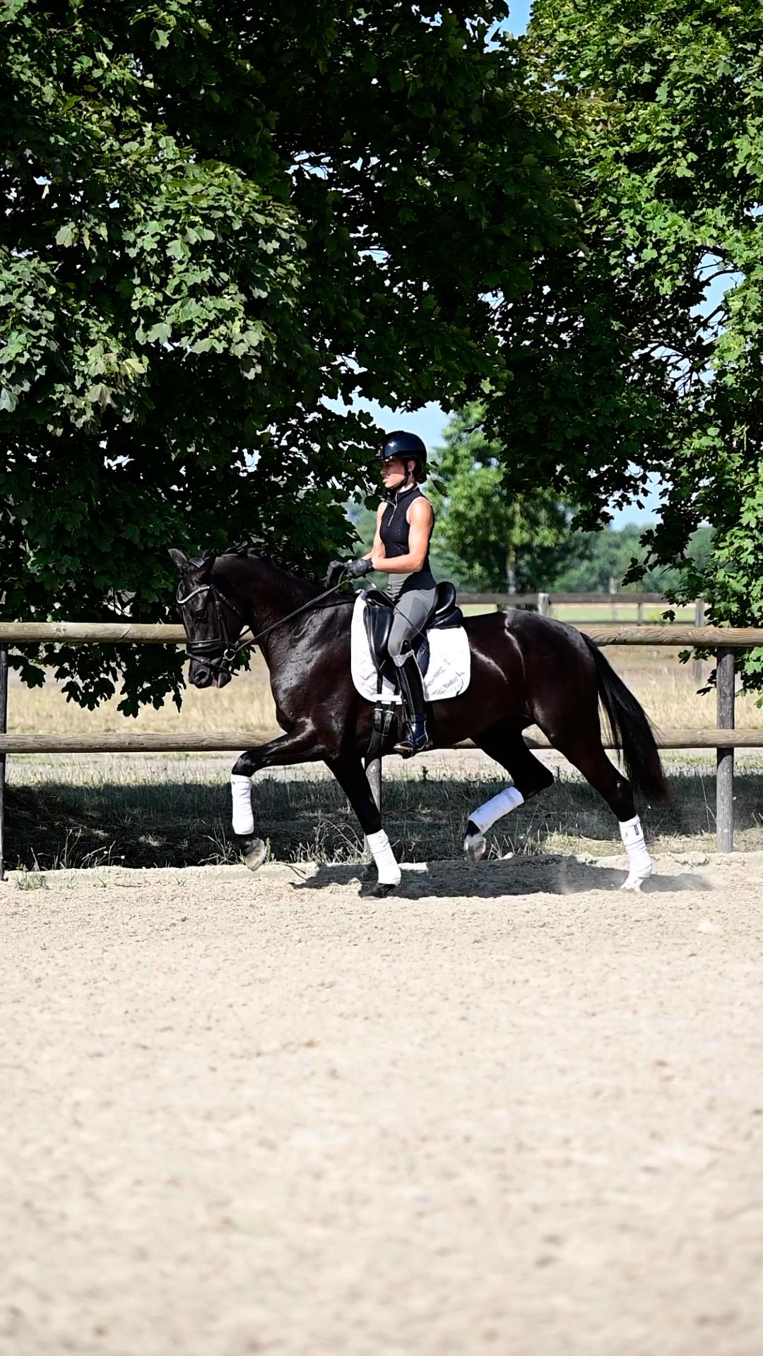 kwpn dressuurpaard merrie 4 ani zwart de vânzare - Foto 2