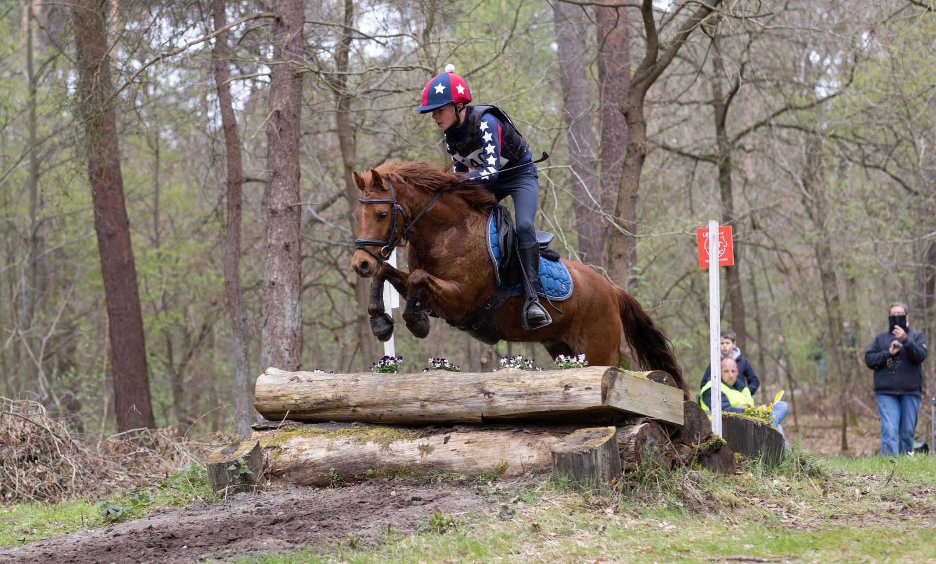 ander allround-pony ruin 6 Jahre alt vos zu verkaufen - Foto 3