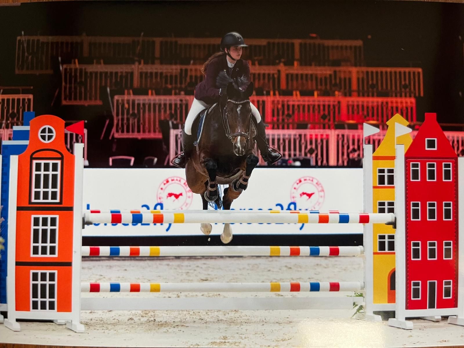 kwpn springpaard merrie 11 Jahre alt donkerbruin zu verkaufen - Foto 2
