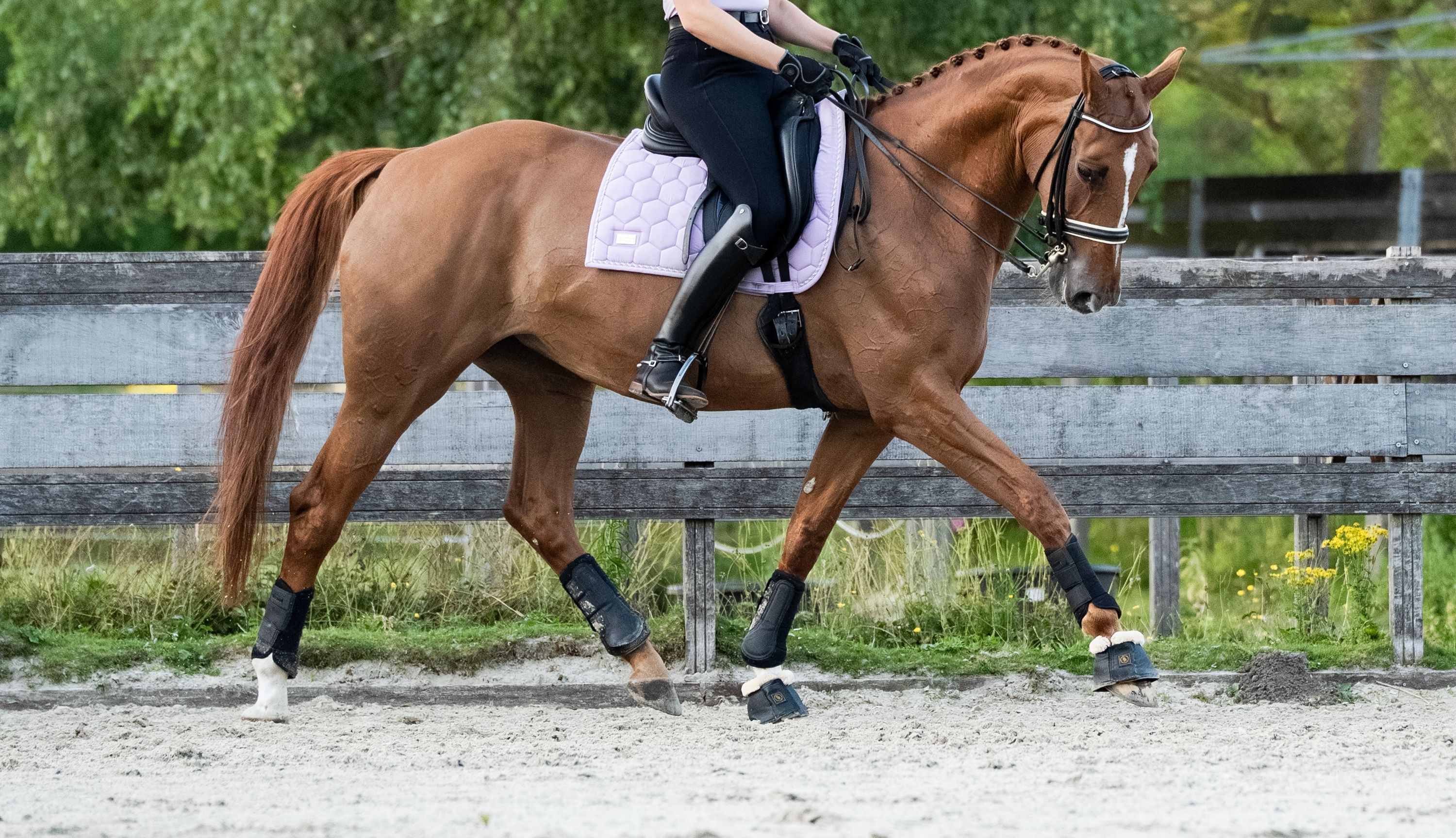 Lieve veelzijdige Leermeester/schoolmaster