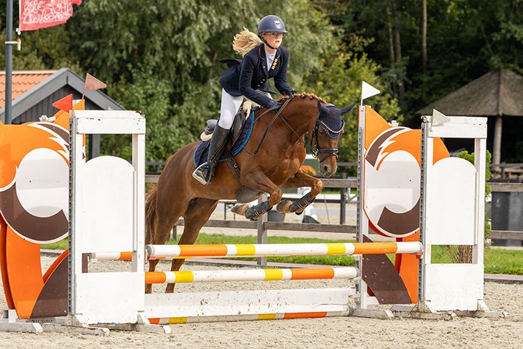 Sweet all-rounder pony for sale