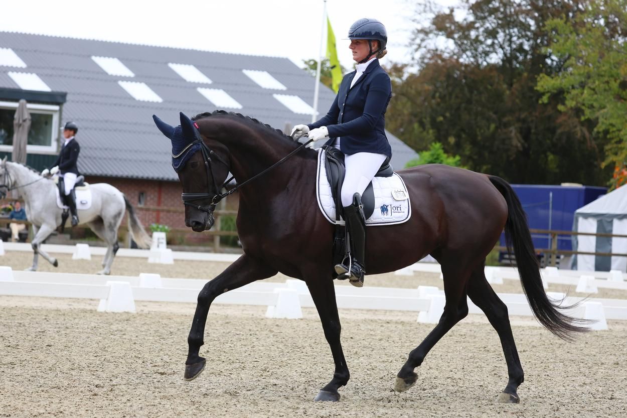 Beautiful 7-year-old mare s. Glamourdale