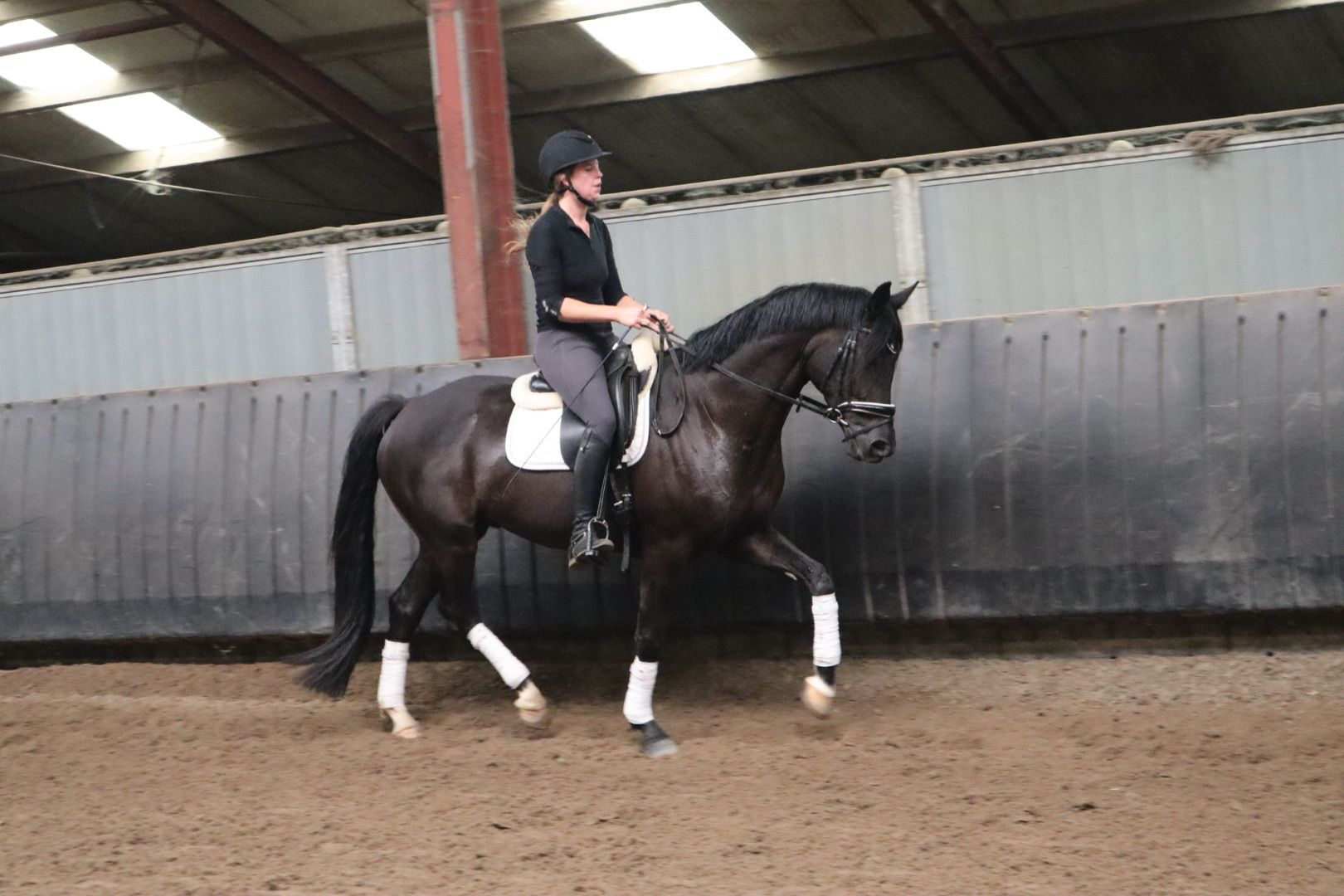 kwpn dressuurpaard ruin 4 años zwart en venta - Foto 6