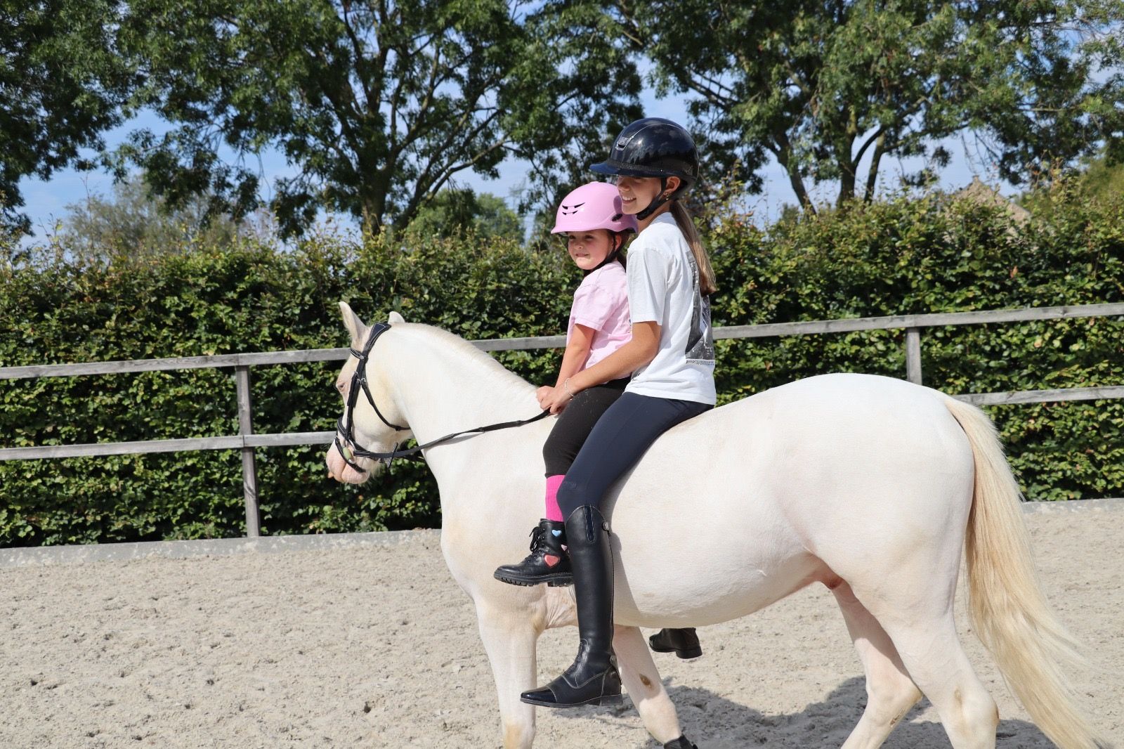 bwp springpony ruin 4 years old andere-kleur for sale - Photo 5