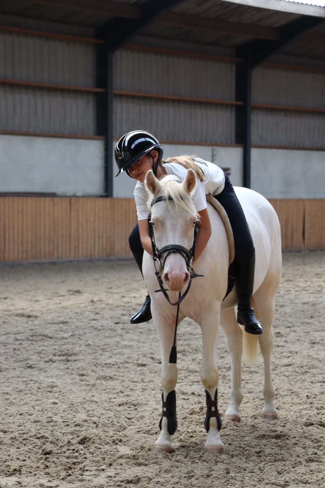 bwp springpony ruin 4 jaar andere-kleur te koop - Foto 4
