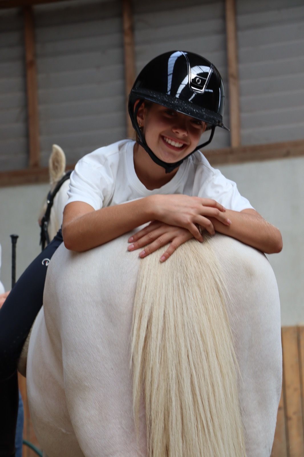 bwp springpony ruin 4 jaar andere-kleur te koop - Foto 3