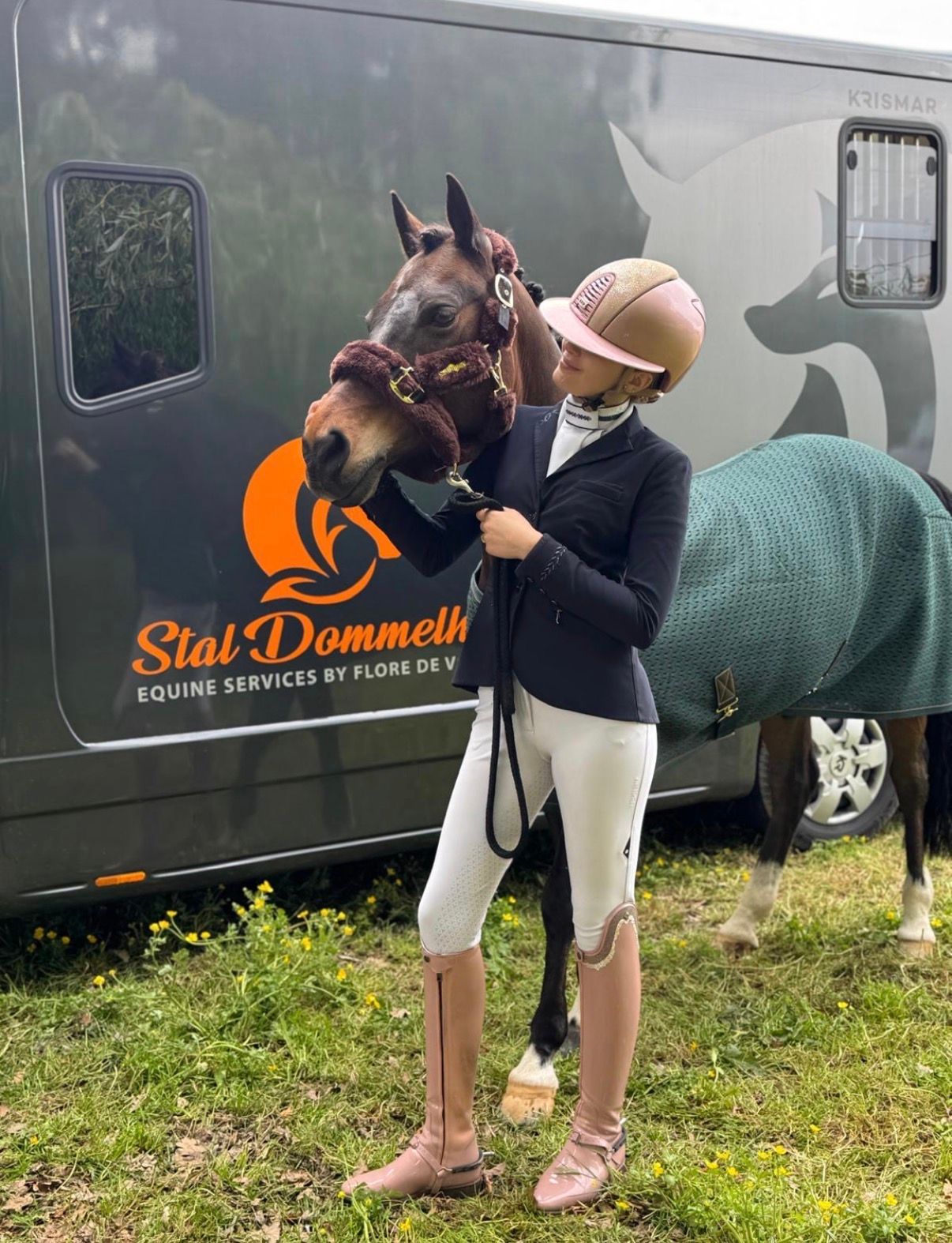welsh dressuurpony ruin 13 år donkerbruin til salg - Foto 3
