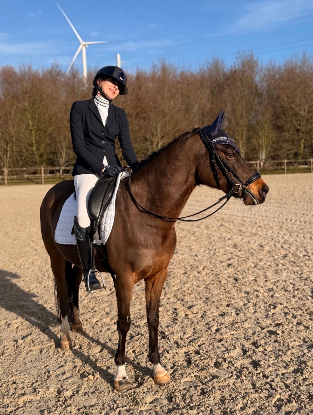 welsh dressuurpony ruin 13 år donkerbruin til salg - Foto 2