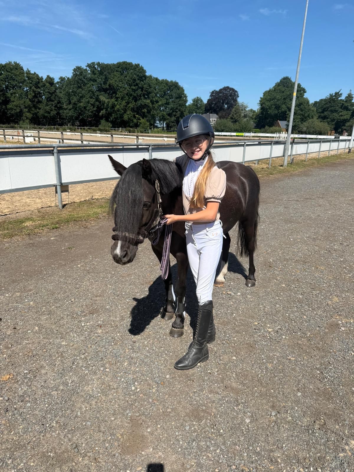welsh allround-pony merrie 4 years old zwart for sale - Photo 6