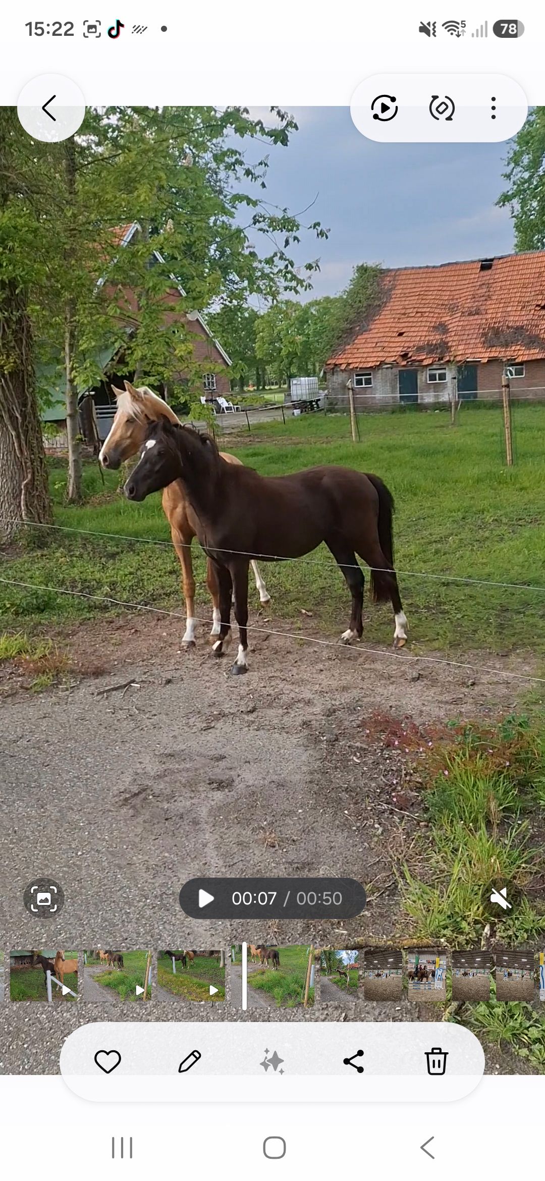 welsh-cob allround-pony hengst 2 años zwart en venta - Foto 2