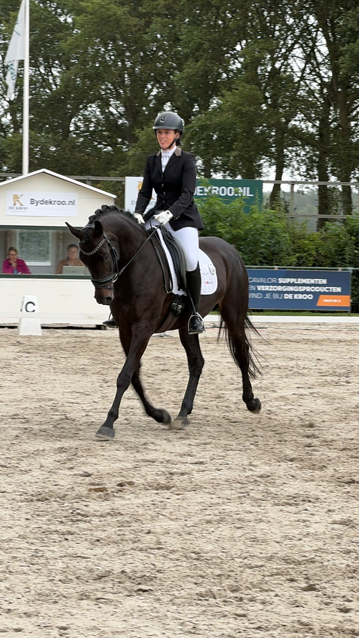 kwpn dressuurpaard merrie 11 años donkerbruin en venta - Foto 3