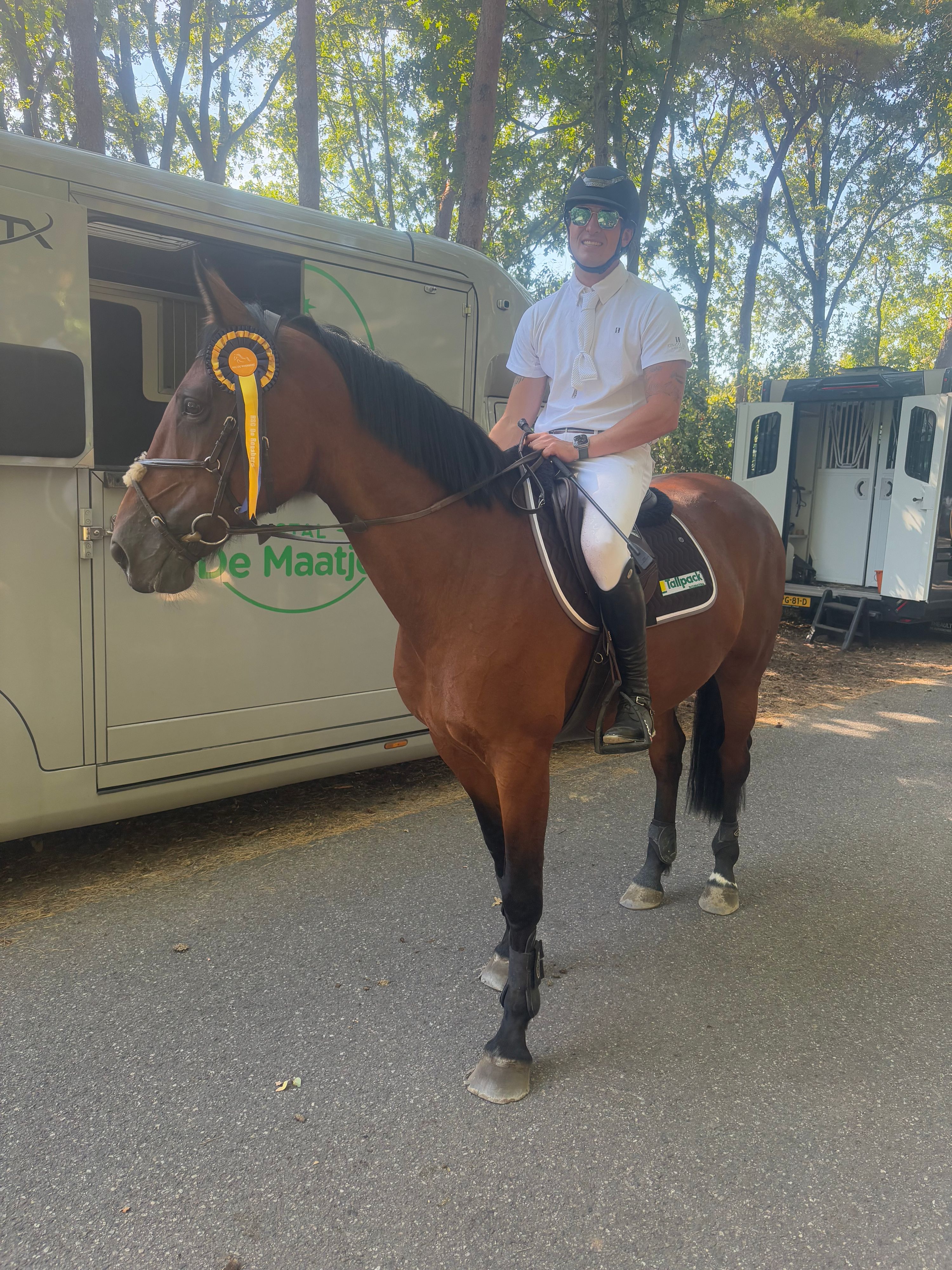 zangersheide springpaard merrie 9 años bruin en venta - Foto 6