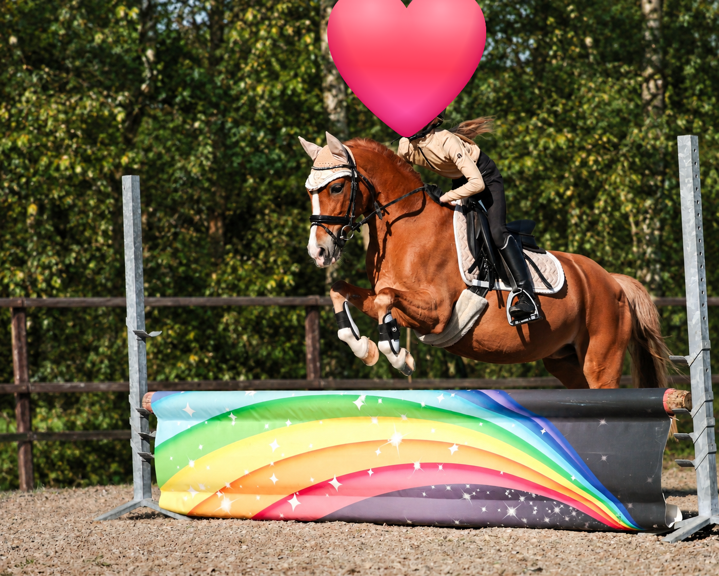 allround-pony merrie 19 Jahre alt vos zu verkaufen - Foto 3