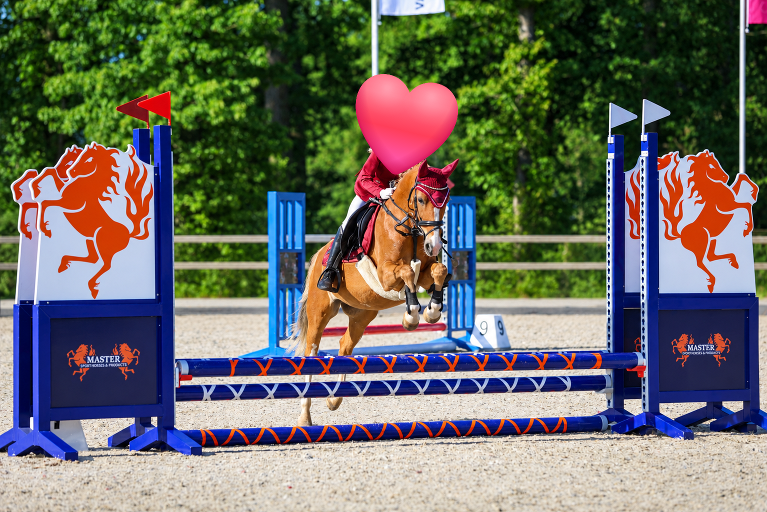 allround-pony merrie 19 Jahre alt vos zu verkaufen - Foto 4