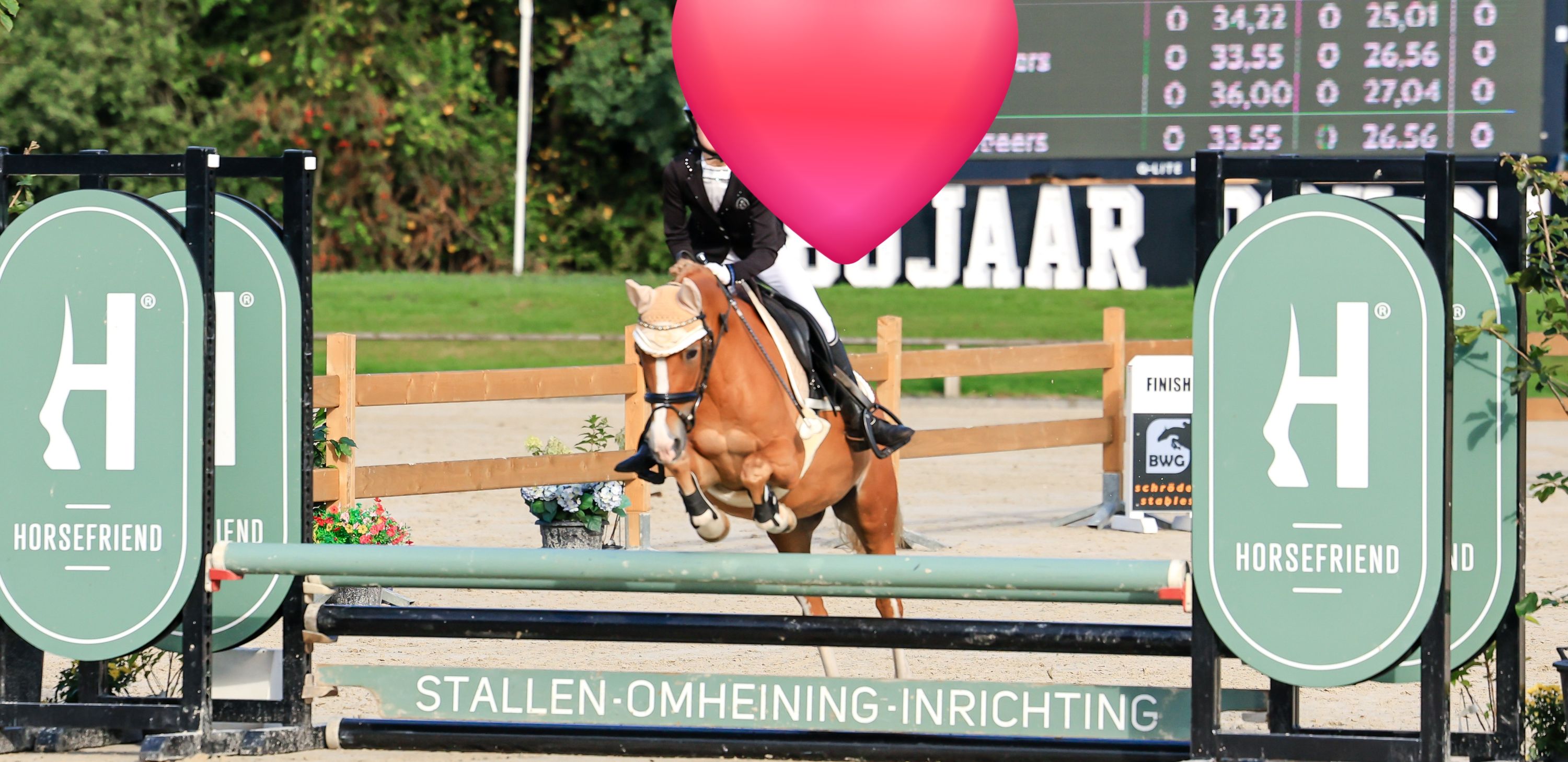allround-pony merrie 19 Jahre alt vos zu verkaufen - Foto 6