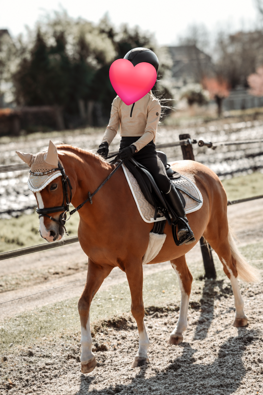 Super braves B-Springpony