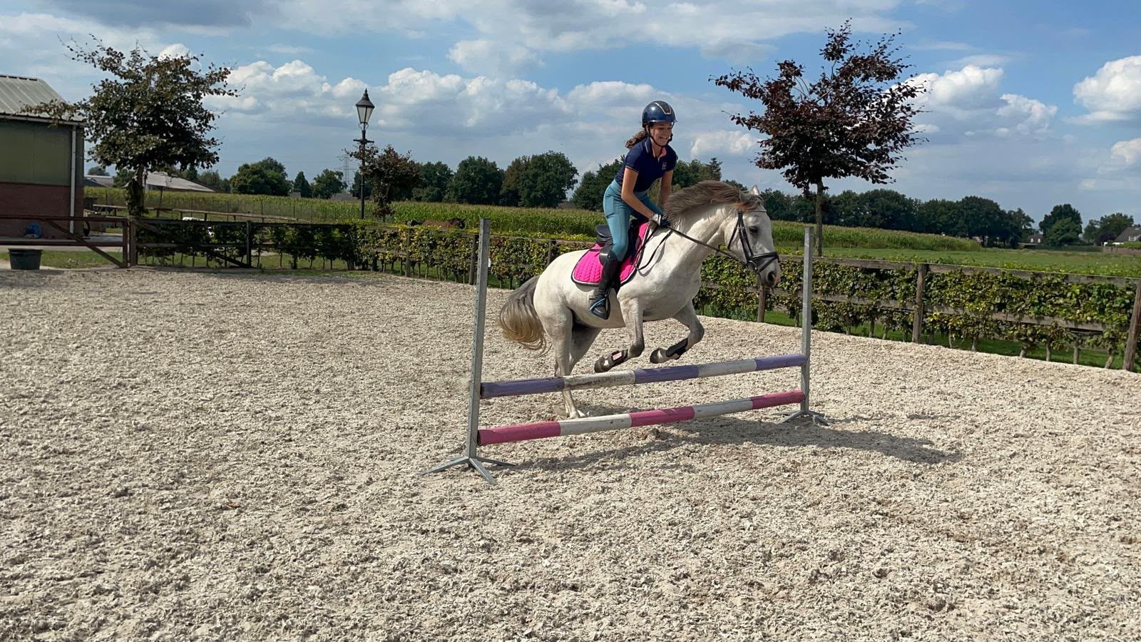 connemara recreatie-pony merrie 8 jaar schimmel te koop - Foto 6