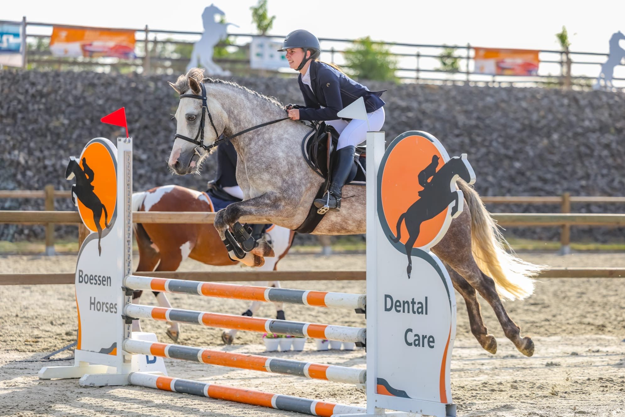 liebe D-Pony Stute