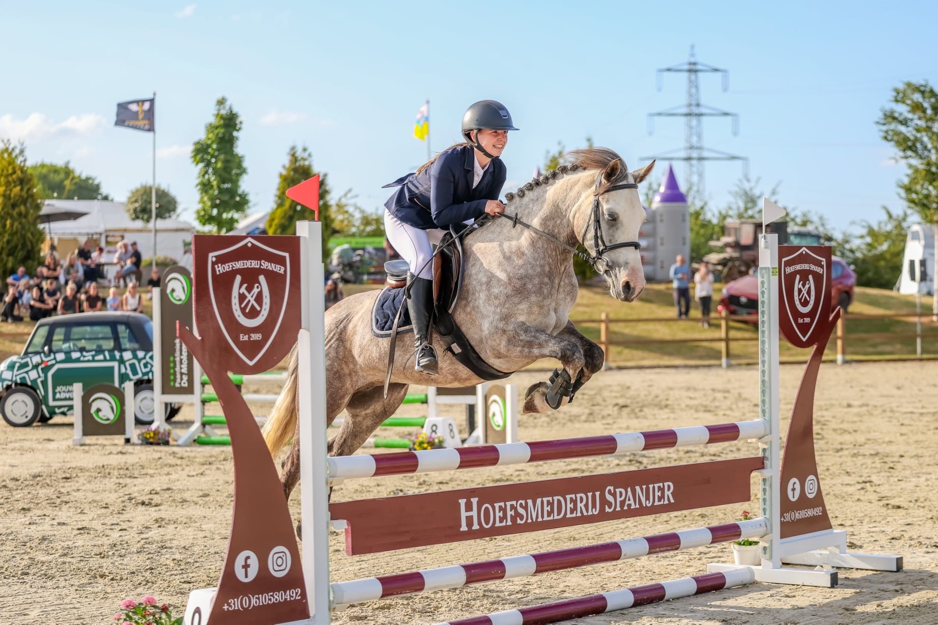 bwp springpony merrie 5 Jahre alt schimmel zu verkaufen - Foto 3