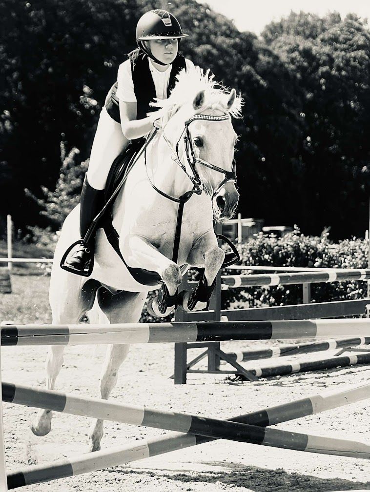 D-Pony met een fijn karakter - ervaren leermeester voor jonge en startende jumpingruiters