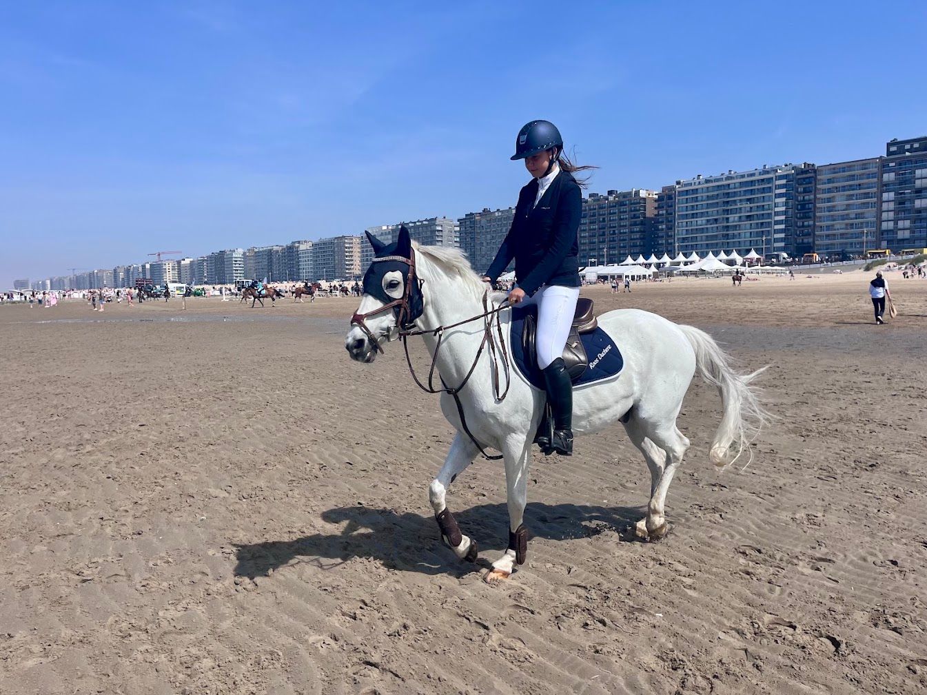 duitse-rijpony springpony ruin 20 Jahre alt schimmel zu verkaufen - Foto 4