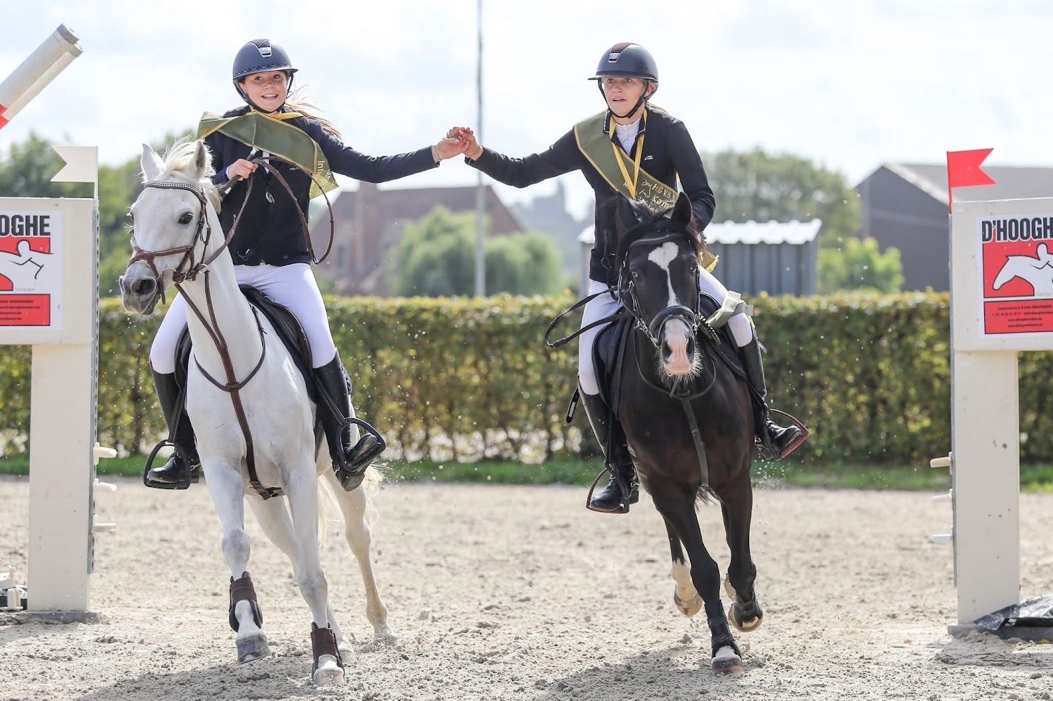 duitse-rijpony springpony ruin 20 Jahre alt schimmel zu verkaufen - Foto 3