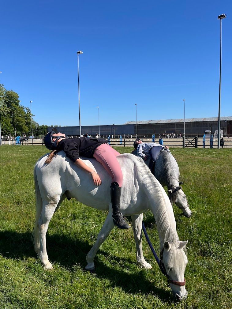 duitse-rijpony springpony ruin 20 Jahre alt schimmel zu verkaufen - Foto 2