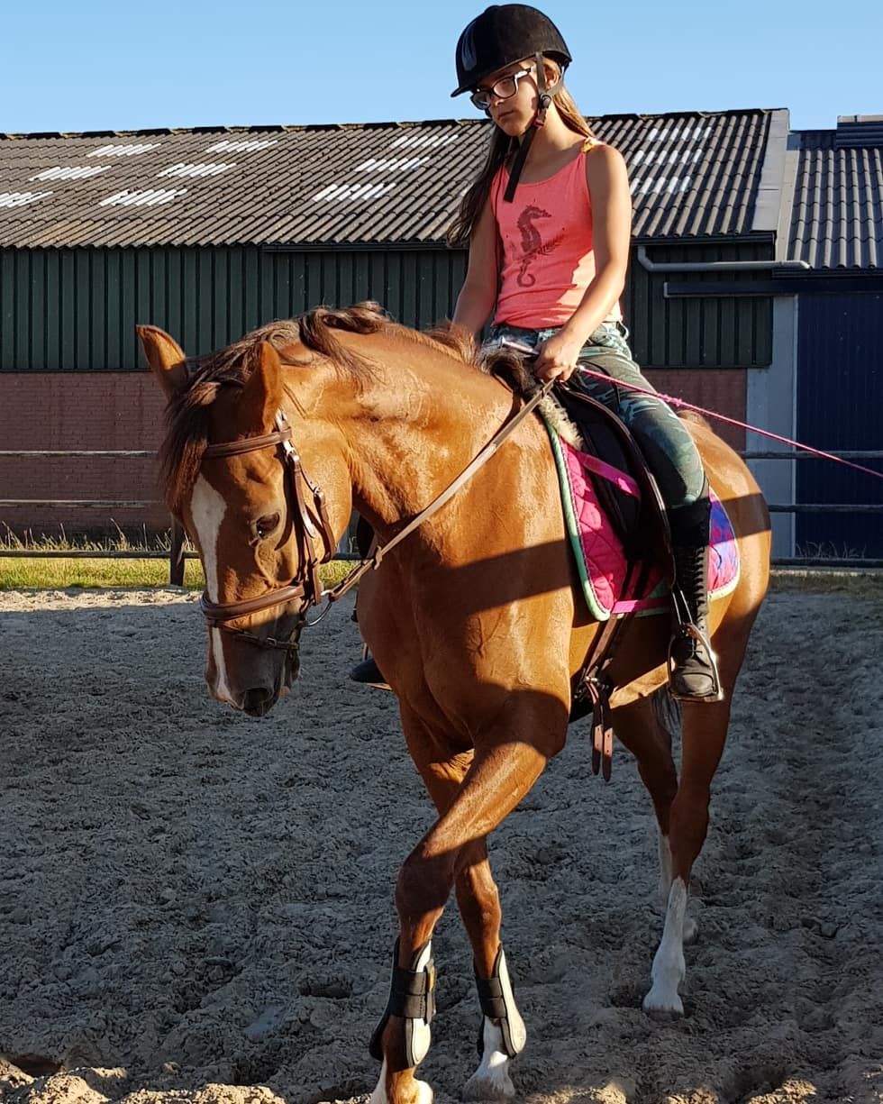 arabier recreatie-pony merrie 18 Jahre alt vos zu verkaufen - Foto 5