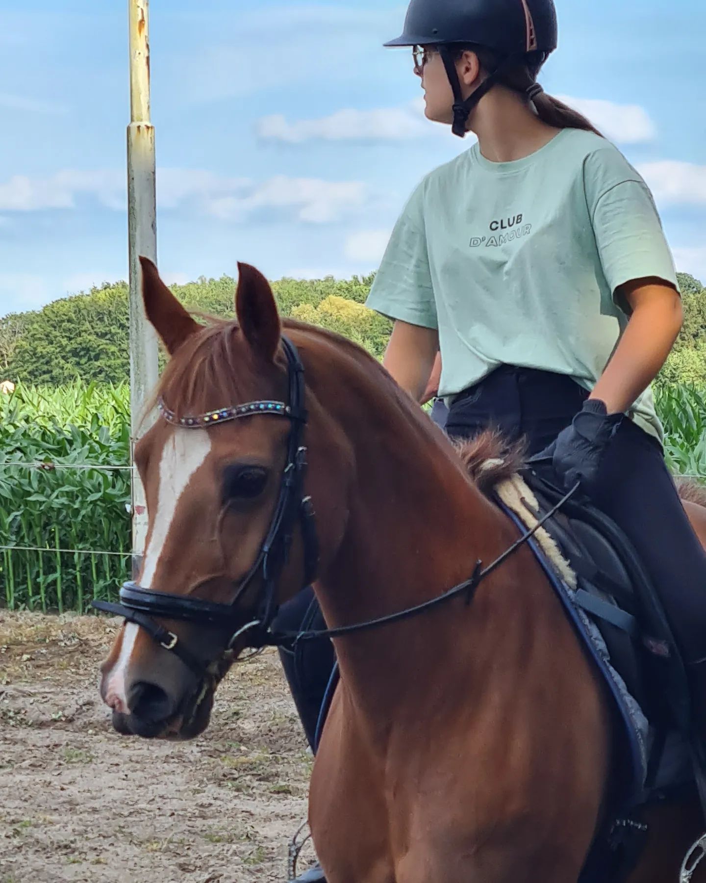 arabier recreatie-pony merrie 18 Jahre alt vos zu verkaufen - Foto 4