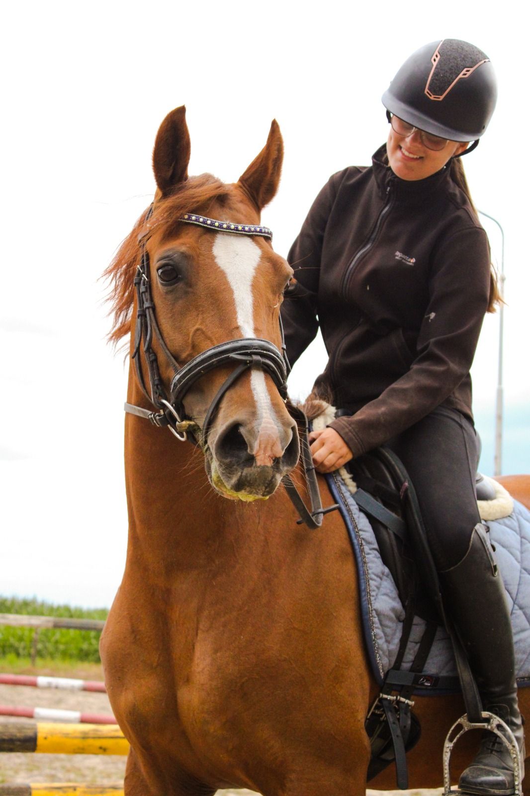 arabier recreatie-pony merrie 18 Jahre alt vos zu verkaufen - Foto 6