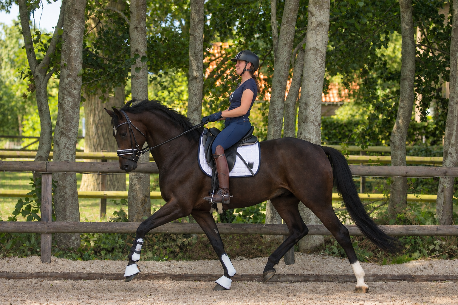 Super sweet 3-year-old Dark Rousseau