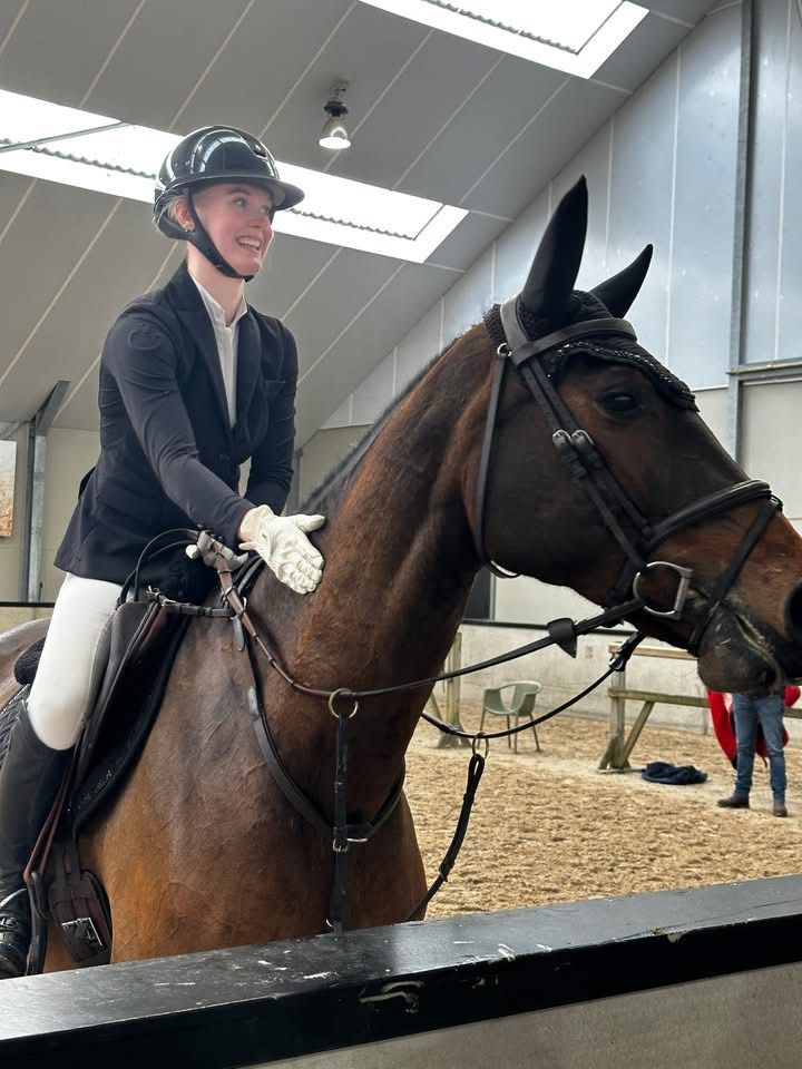 kwpn dressuurpaard merrie 0 ani donkerbruin de vânzare - Foto 4