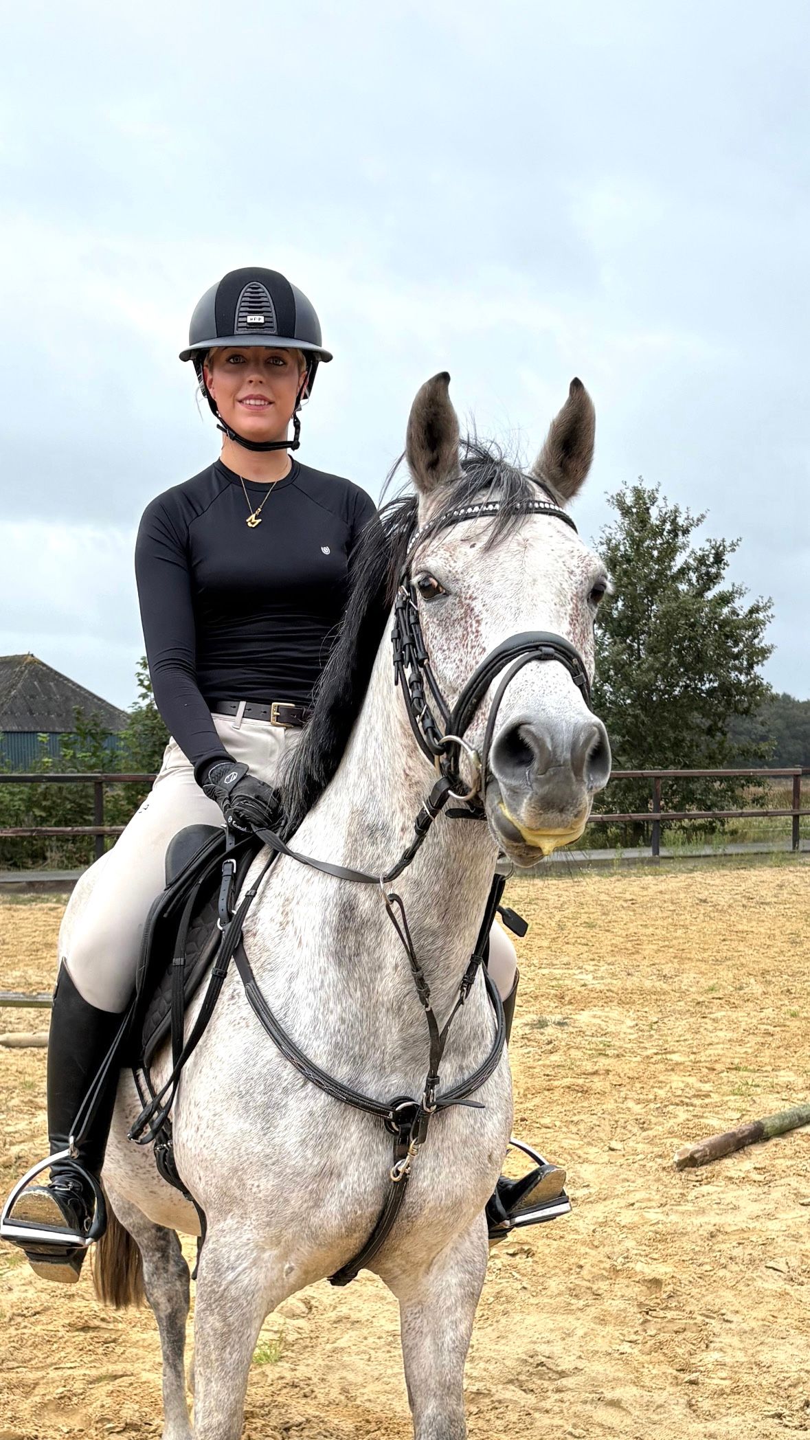 springpony ruin 9 سنوات schimmel للبيع - صورة 5
