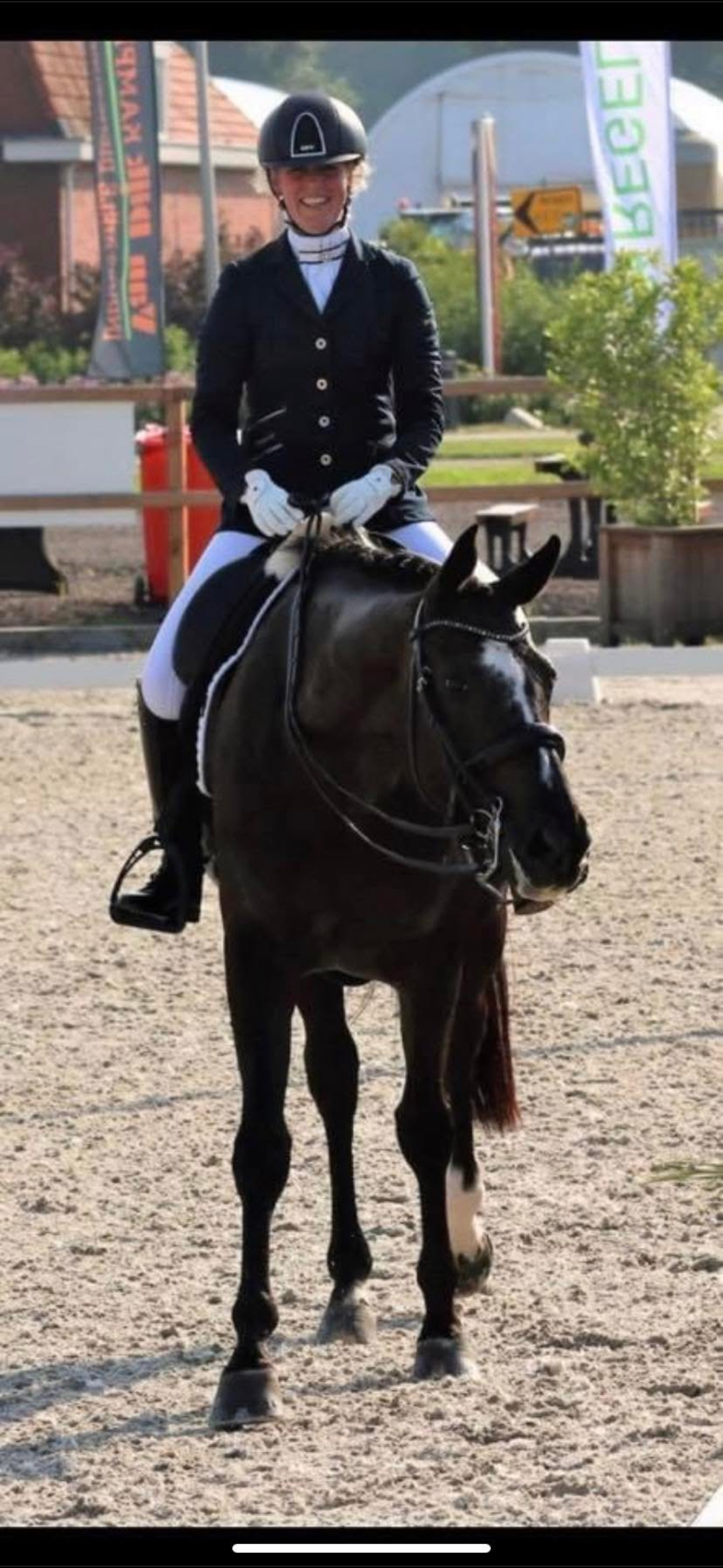 kwpn dressuurpaard merrie 11 ani zwart de vânzare - Foto 6