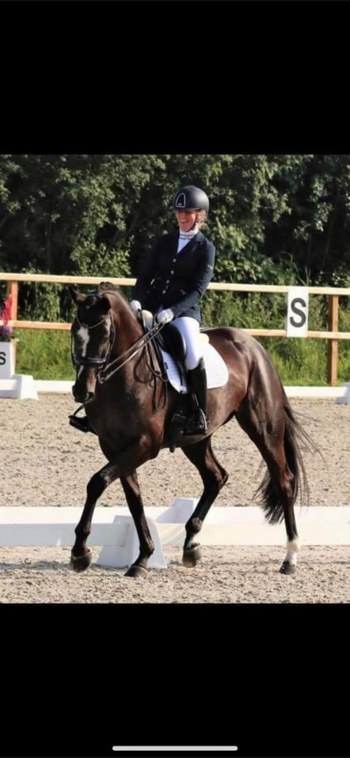 kwpn dressuurpaard merrie 11 ani zwart de vânzare - Foto 5