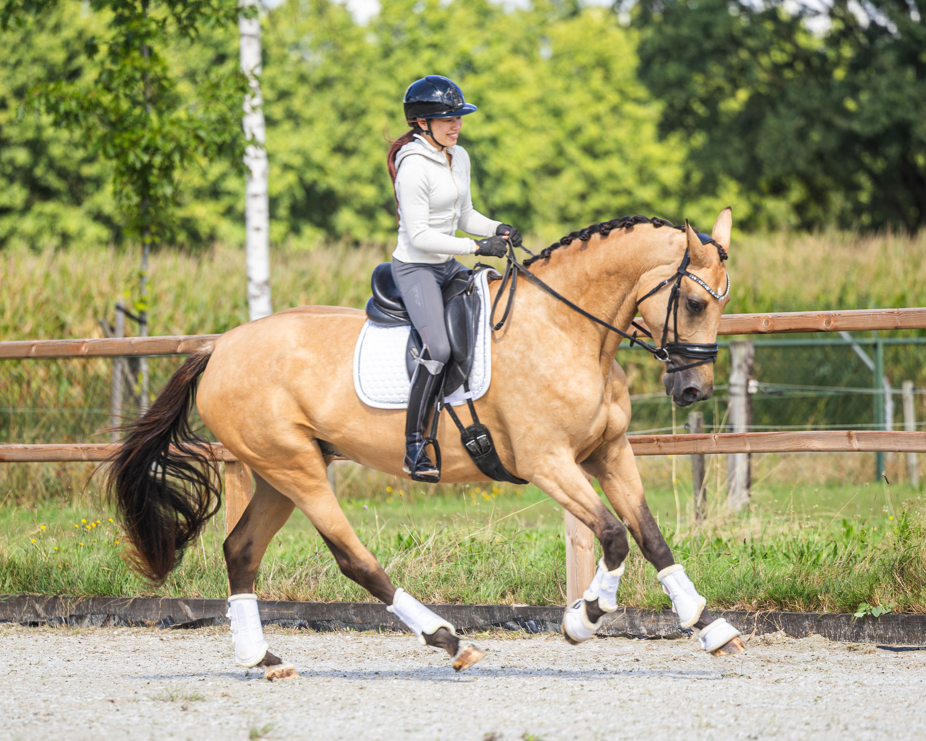 nrps allrounder merrie 4 ani andere-kleur de vânzare - Foto 2