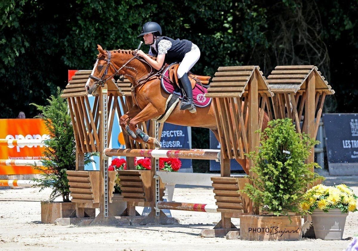 Iseut de Blonde – D-sportponny – Banhoppning – 148 cm