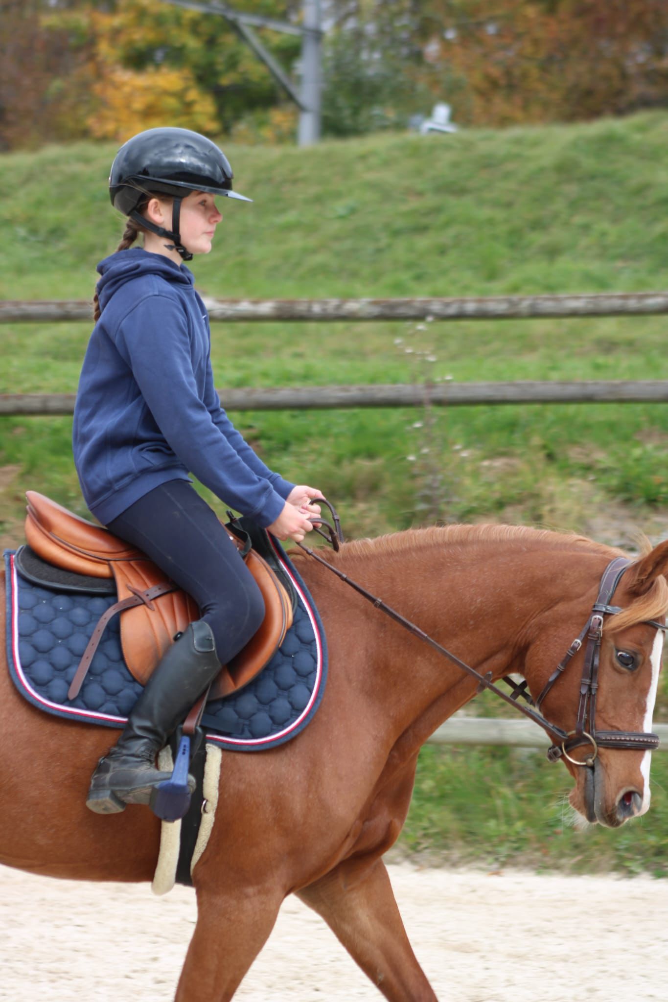 franse-pony springpony merrie 8 år vos till salu - Foto 3