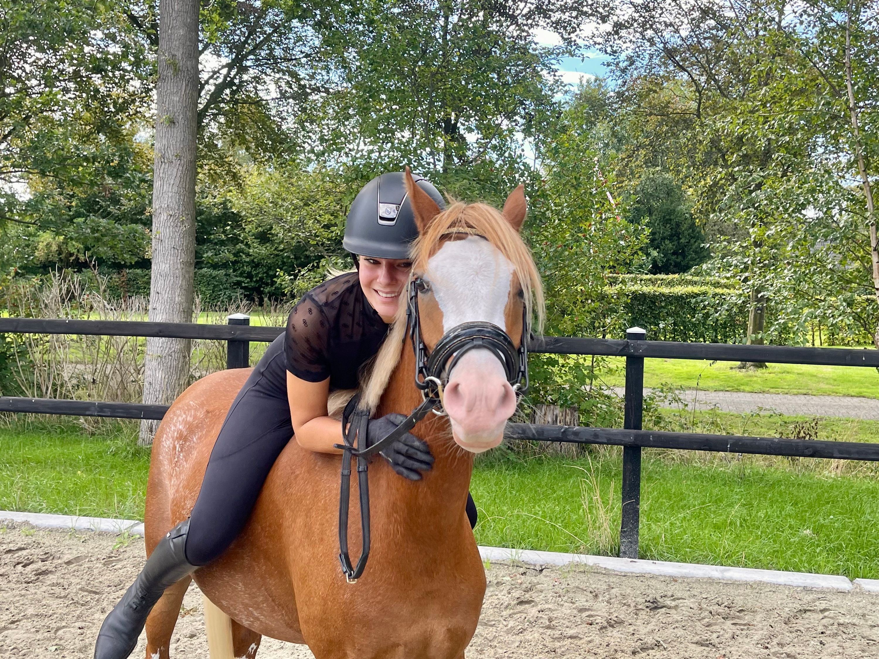 welsh allround-pony merrie 3 ani vos de vânzare - Foto 6