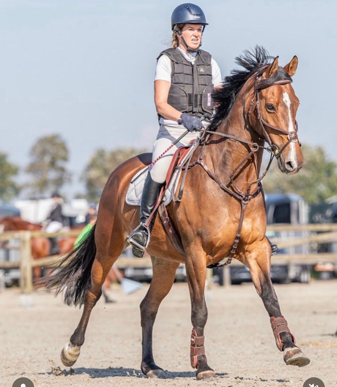 kwpn dressuurpaard ruin 15 ani bruin de vânzare - Foto 3