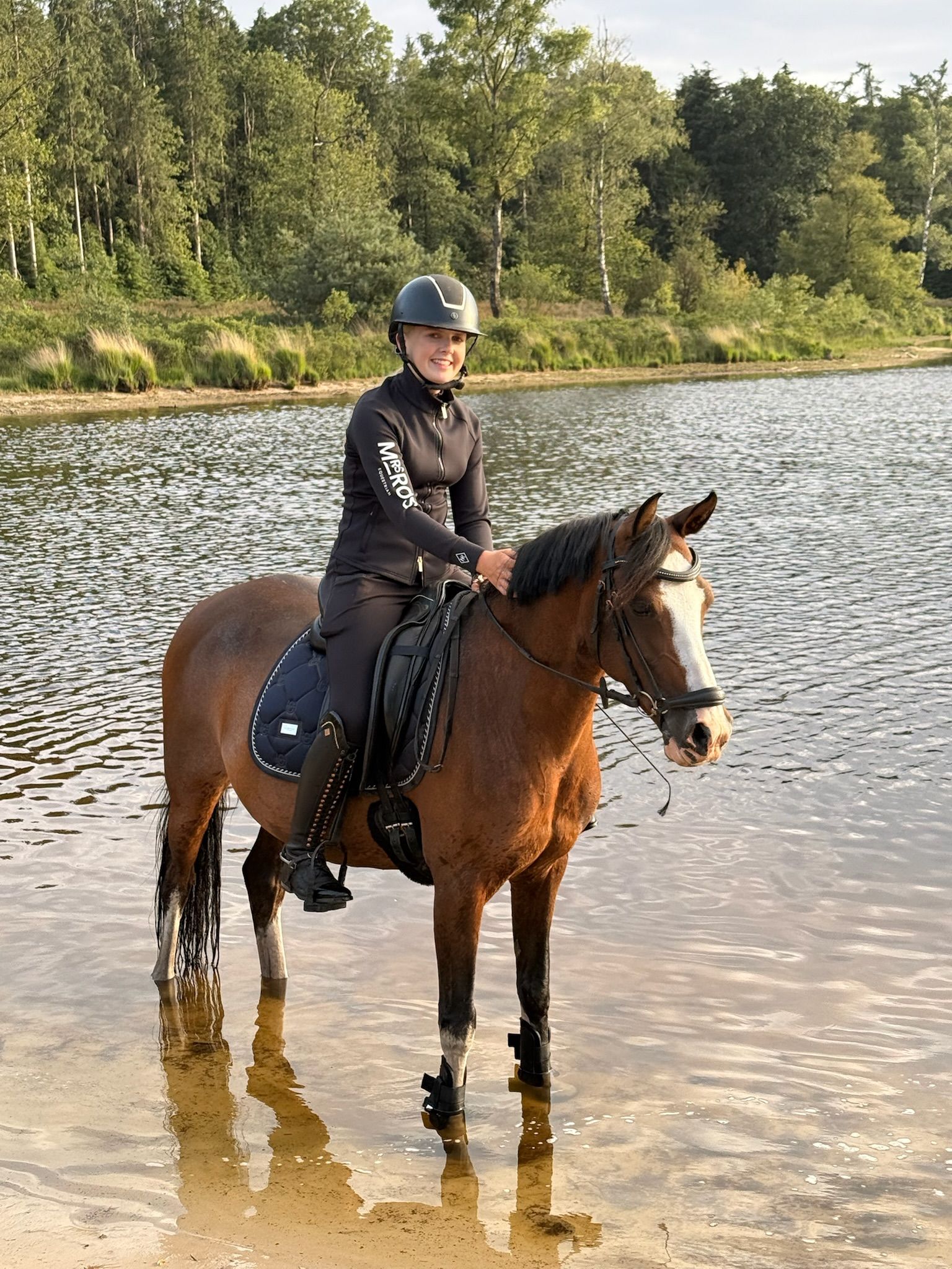 ander allround-pony merrie 16 ani donkerbruin de vânzare - Foto 2