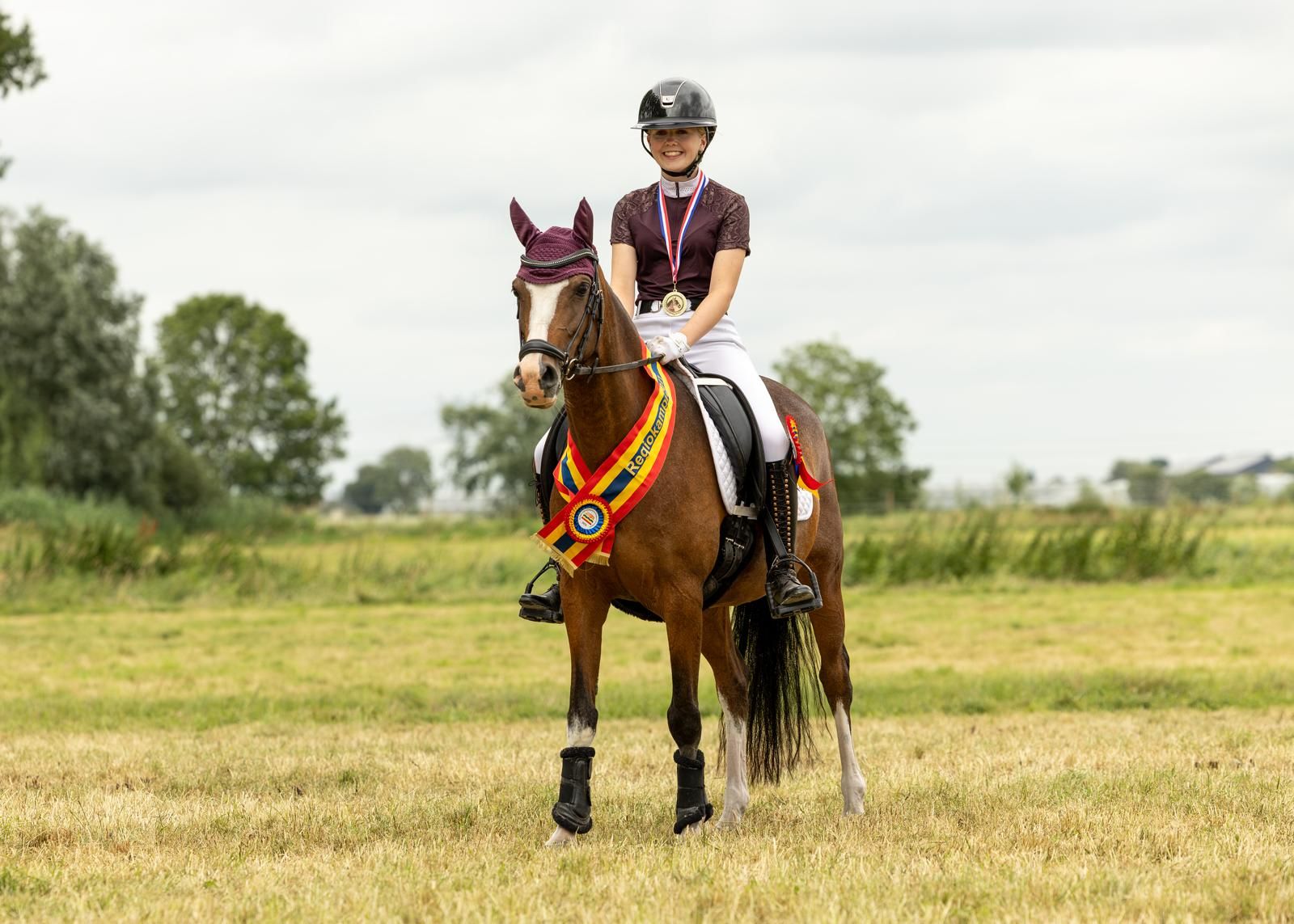 ander allround-pony merrie 16 ani donkerbruin de vânzare - Foto 3
