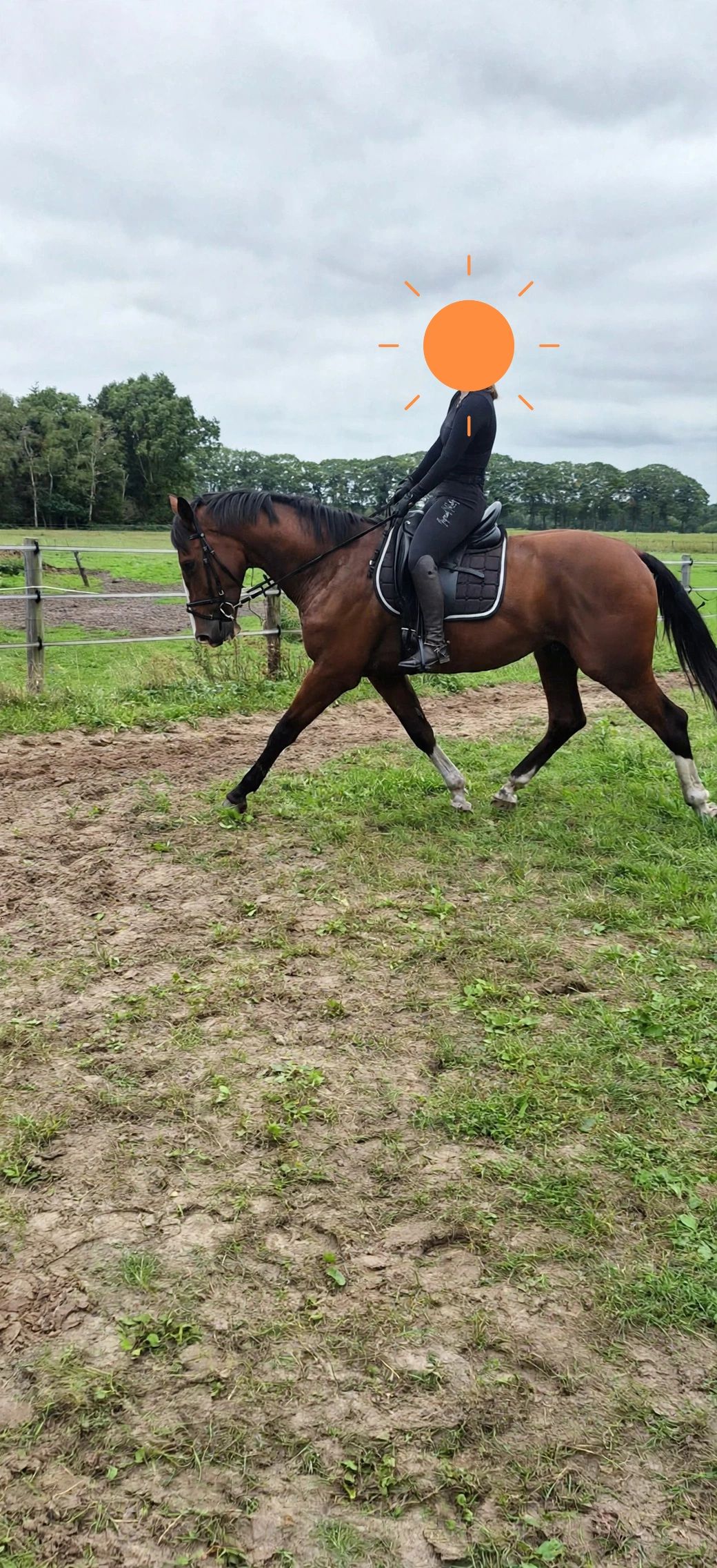 5-year-old all-rounder