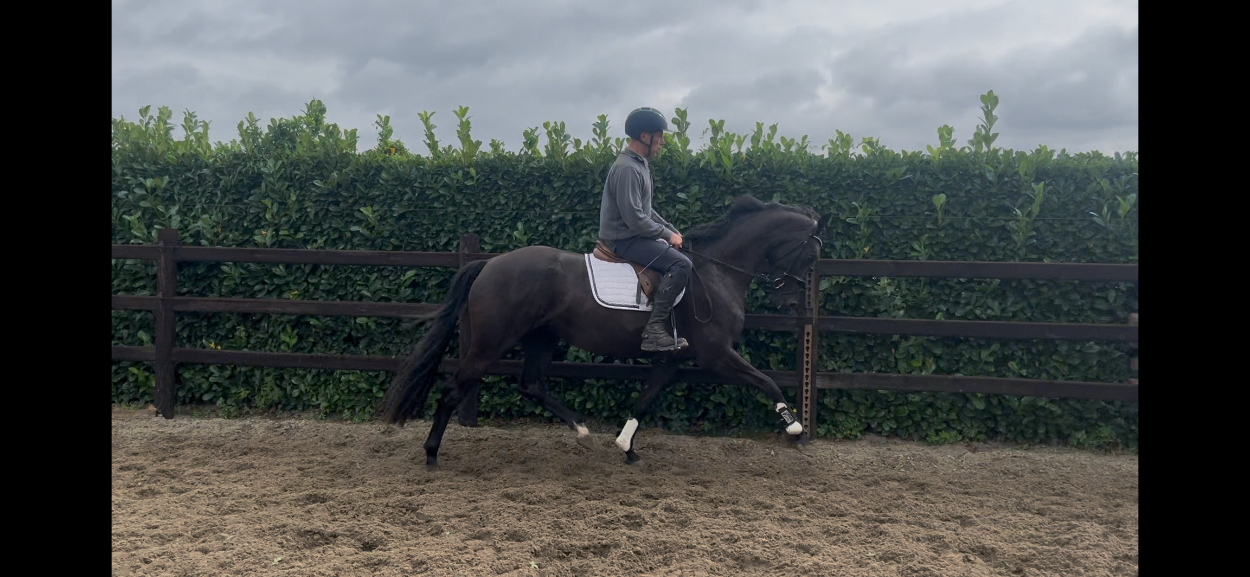 kwpn dressuurpaard merrie 3 ani zwart de vânzare - Foto 3